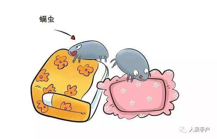 除尘螨最有效方法,生活小妙招五招教你除尘螨