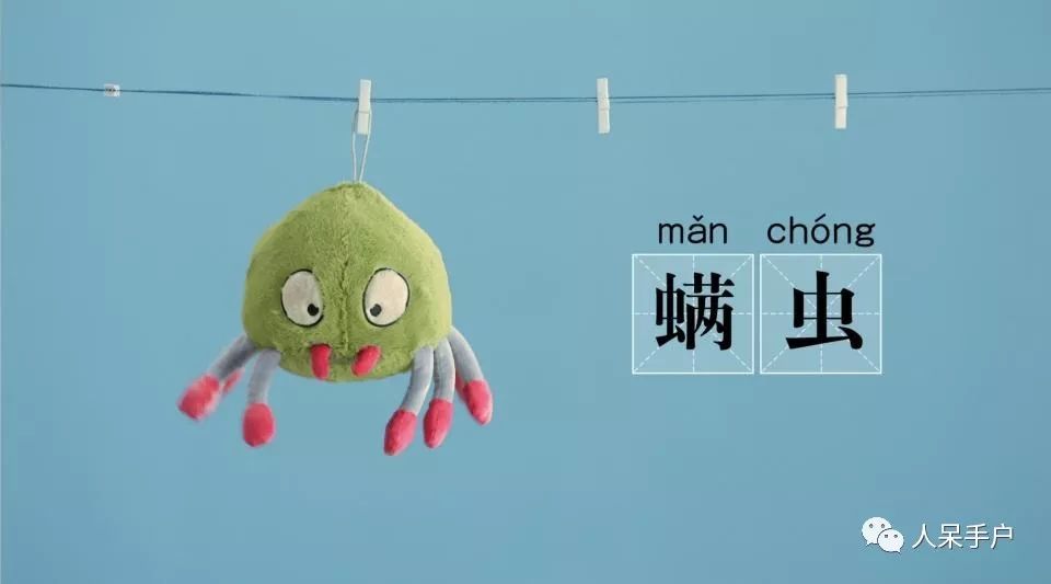 除尘螨最有效方法,生活小妙招五招教你除尘螨