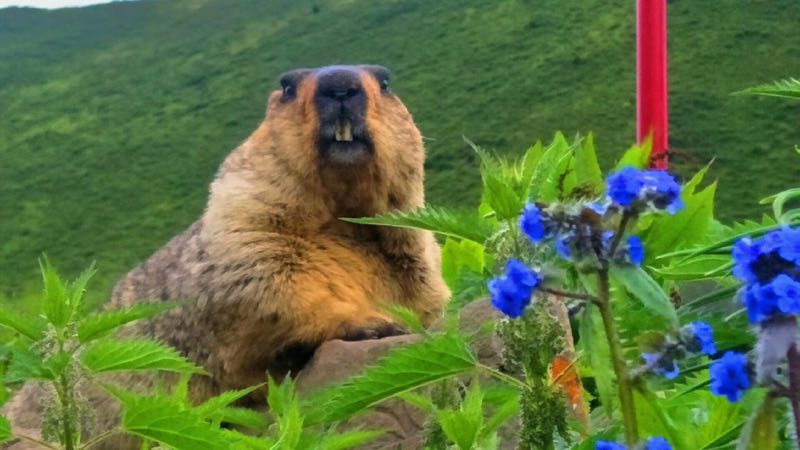 成都出发色达稻城亚丁5日游攻略,成都去色达稻城行程规划