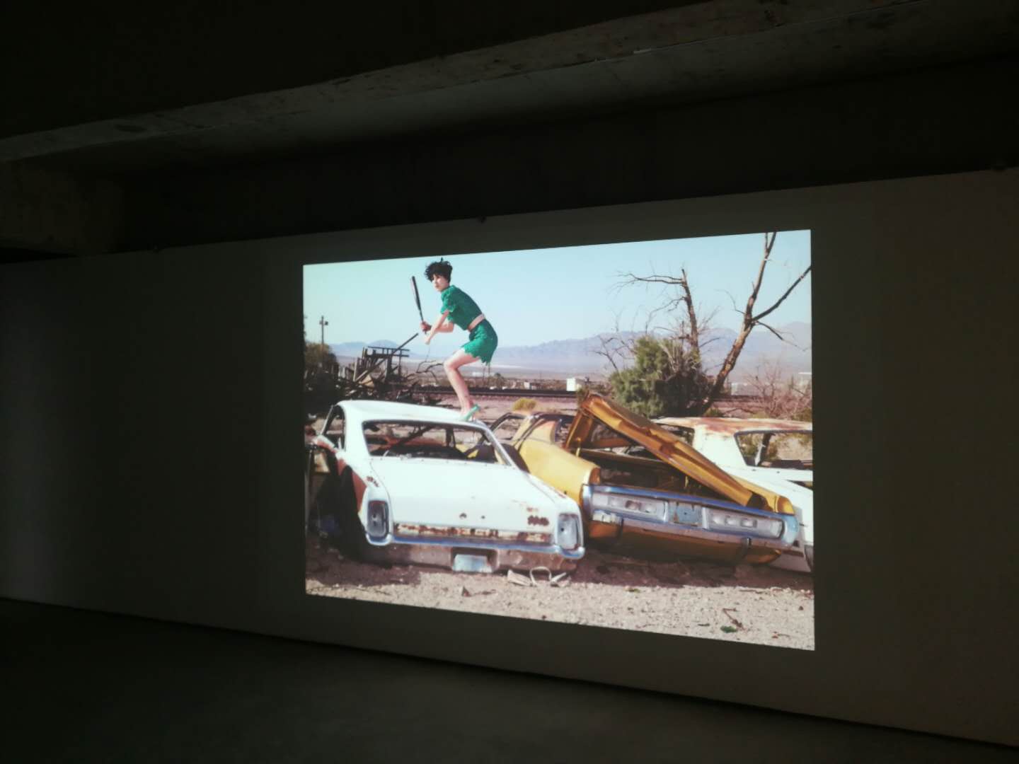 一个正常的社会不能只有赞美,一个正常的社会不应该是什么