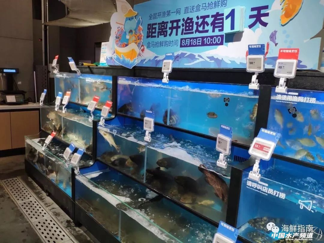 包船出海捕鱼,包船拖网捕鱼视频