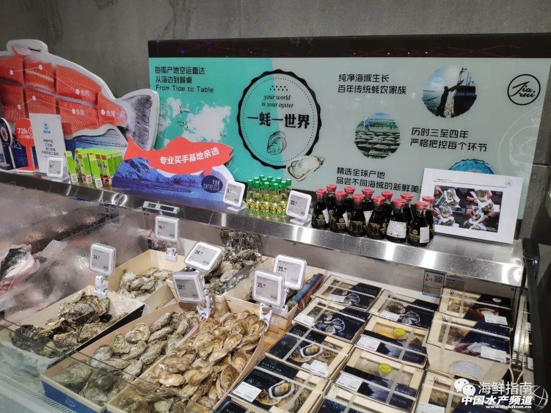 包船出海捕鱼,包船拖网捕鱼视频