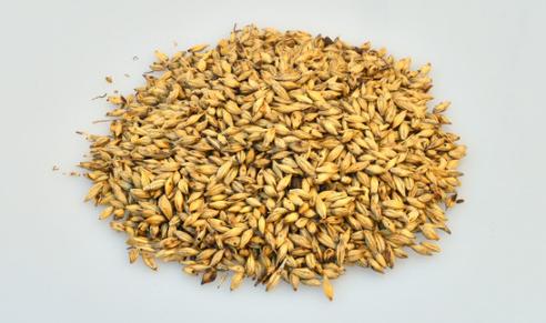 身体肝脏部位隐隐的有点疼,身体哪里疼是肝出了问题