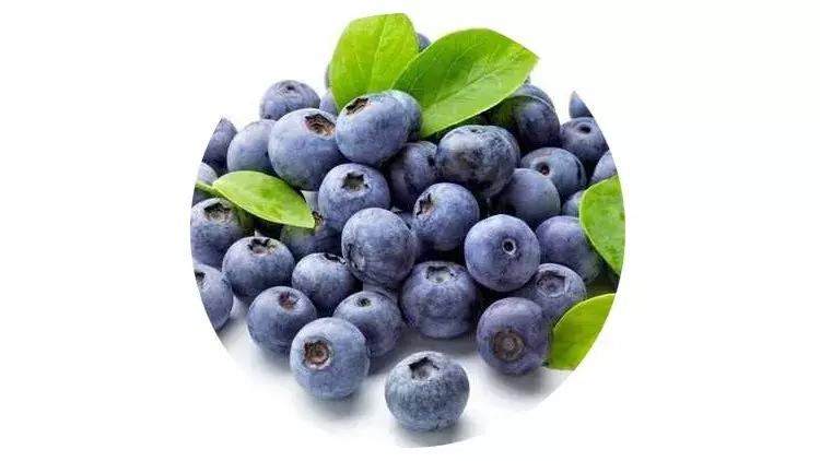 眼睛干涩流泪吃蓝莓叶黄素有效吗,蓝莓叶黄素可以治疗眼睛模糊吗