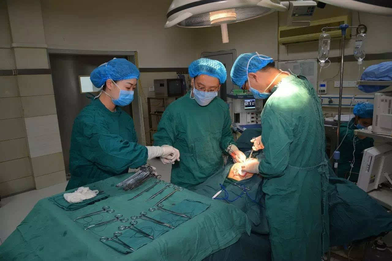 哪里流血粘哪里，这种止血方式太“*力暴**”，灵感竟来自鼻涕虫？