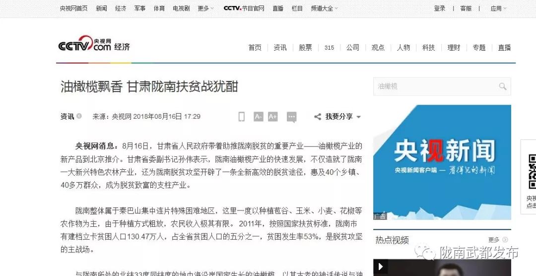 陇南武都橄榄产业发展,陇南油橄榄产业