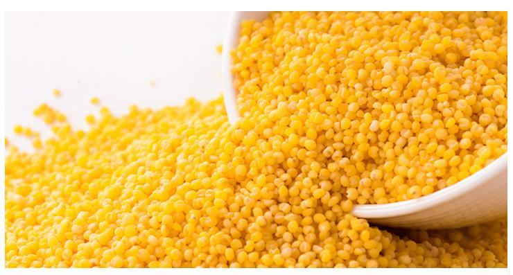 小米酒制作全过程,小米酒酿制方法大全