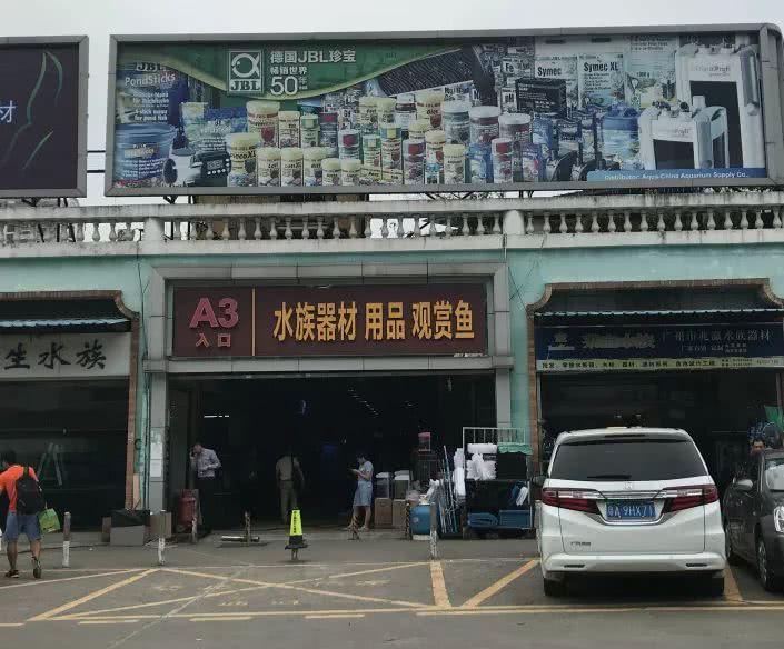 广州便宜又好看的批发市场,广州年前批发市场买衣服地方推荐