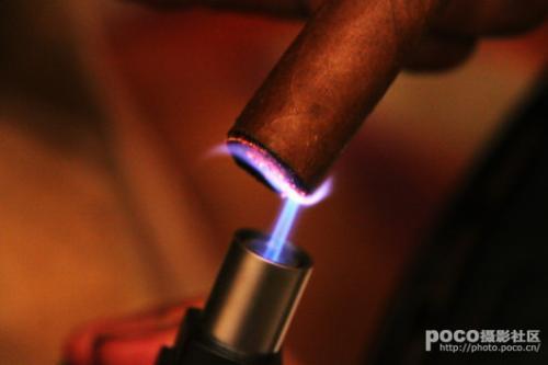 新手必看雪茄的基本知识,罗伯图雪茄新手入门