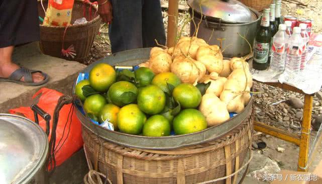 乡村小创业适合做什么生意,农村夫妻档创业做什么生意好