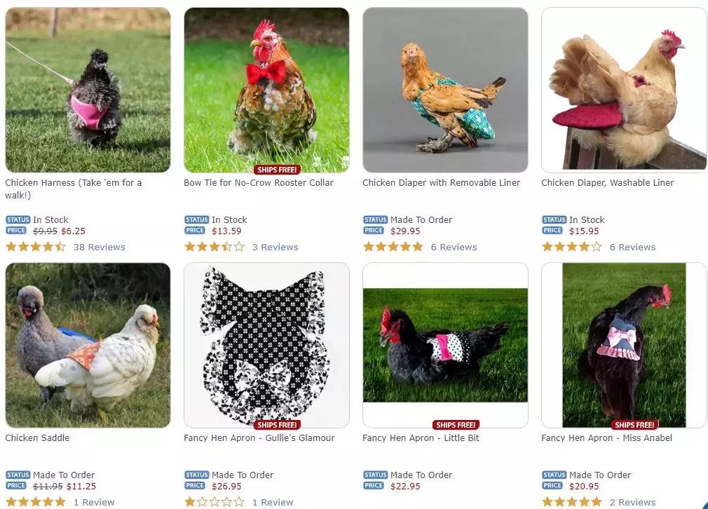 越来越多人养鸡当宠物，有人卖鸡尿布发财了……