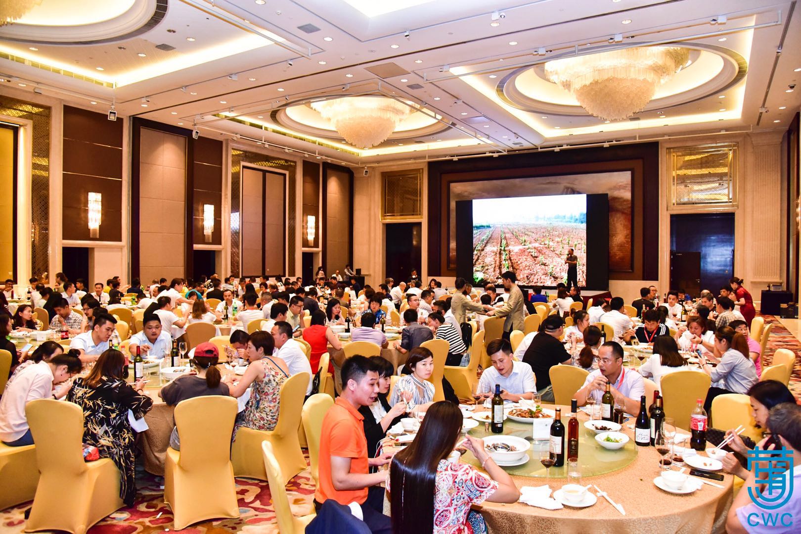 广州品牌策划营销案例,品牌溯源活动策划