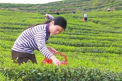 好消息江西省,好消息赣州经开区三江乡