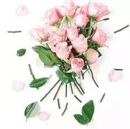 激发生命成长动力——泰祺抗挫力青少年营第20期宁波站Day1