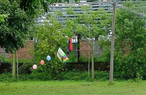 夏日电网探秘之旅，市民邂逅神奇的“激光大炮”！