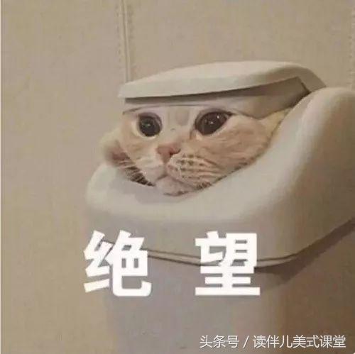 老外说英语是全球最简单的语言！为什么我们花了10年都学不好？