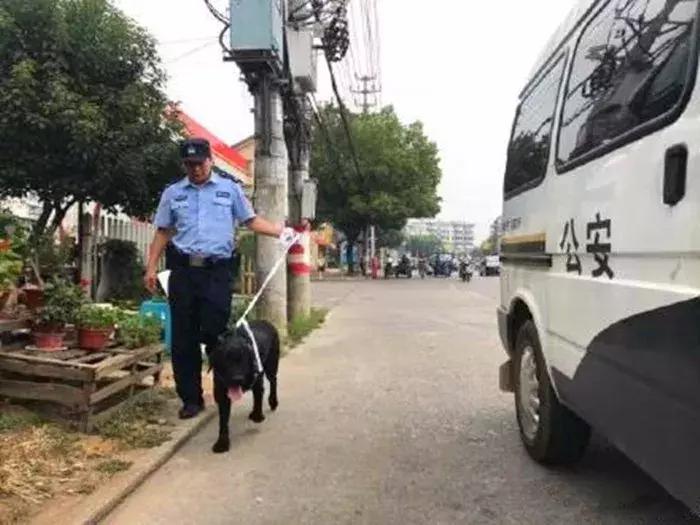 不养金毛十个理由够不够,不养金毛的四个理由