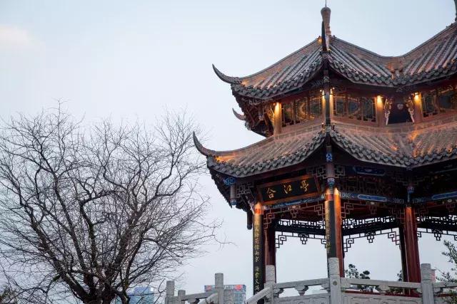 成都｜撸着串呷着茶，我们在“成姆斯特丹”找到不一样的乐子