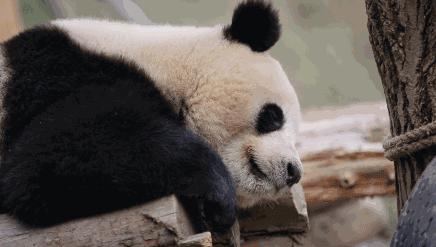 成都｜撸着串呷着茶，我们在“成姆斯特丹”找到不一样的乐子