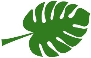 漂亮的人都睡了，用天价护肤品的你却毁容了！