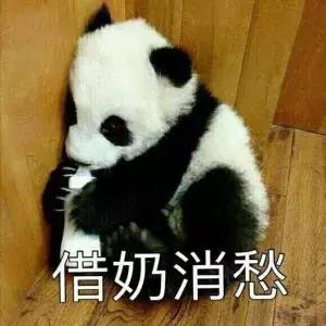 锦觅知道了陨丹的事,锦觅第几集捅了凤凰