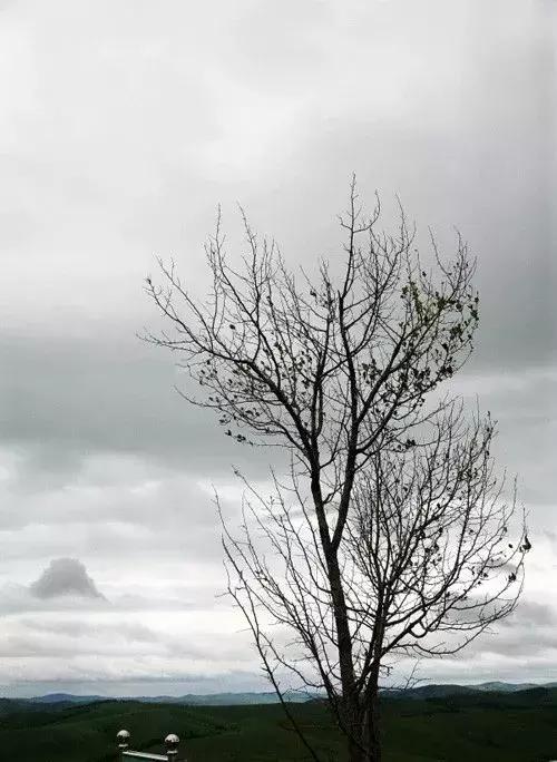 我的4个战友，3双眼睛1条腿！军人不怕牺牲怕遗忘