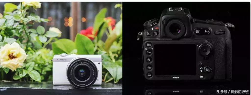 无反相机和单方相机怎么选,无反相机入门买啥相机