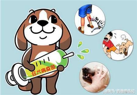 小儿意外伤害如何急救,如何预防幼儿急疹的发生