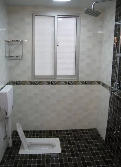 如何挑选一款好的蹲便器,这是一条有味道的评论