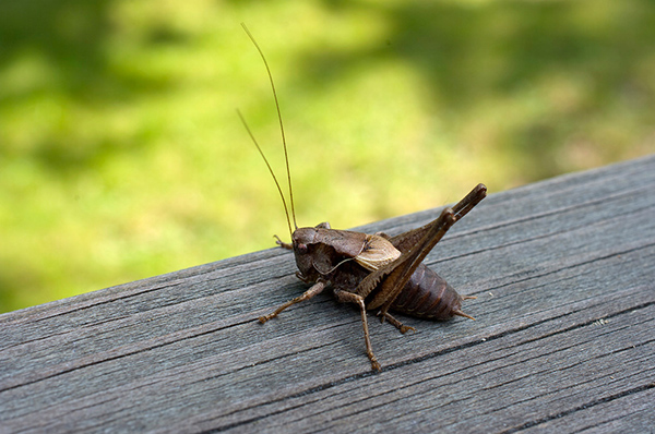 宾得相机怎么拍摄动态照片,宾得单反人像拍摄技巧