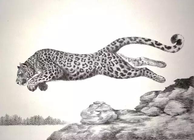 顶级超写实钢笔画,最惊艳的钢笔画大神