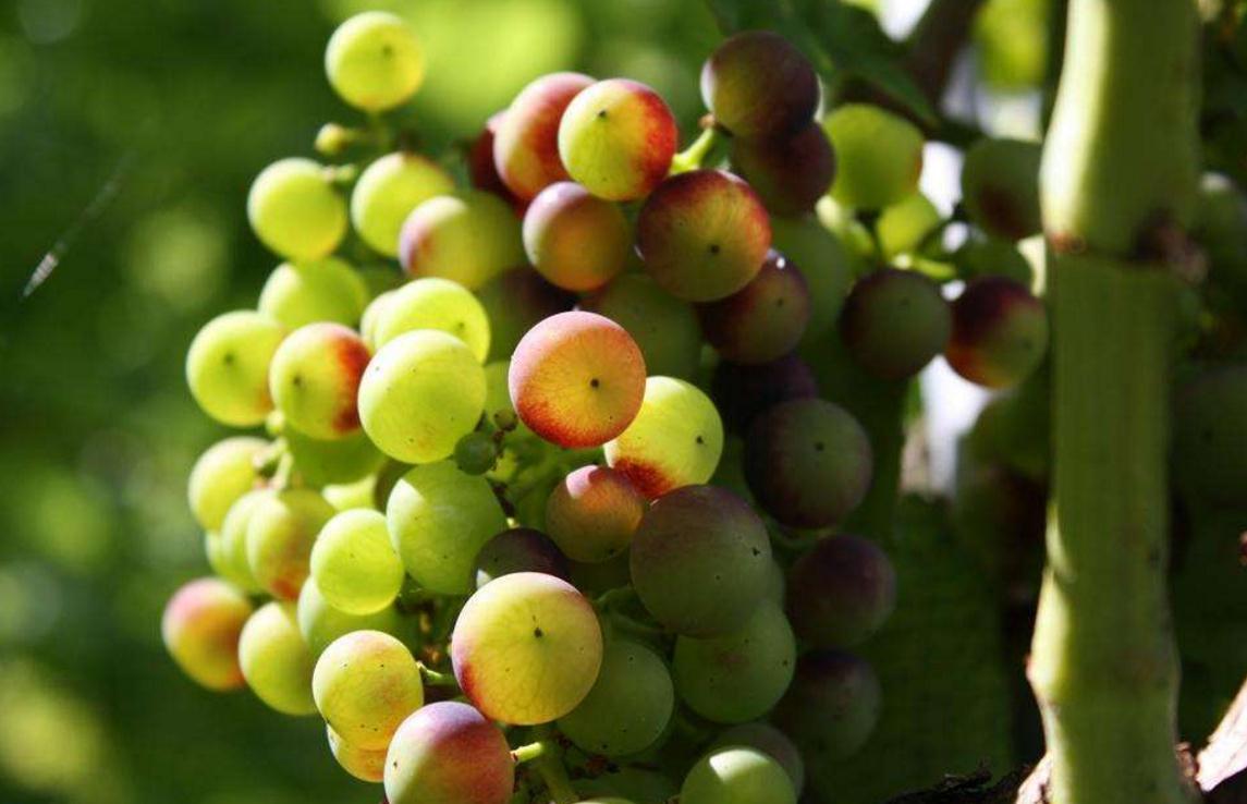 独来独往的人出现的三种气质,做人好的人身上都有的特征