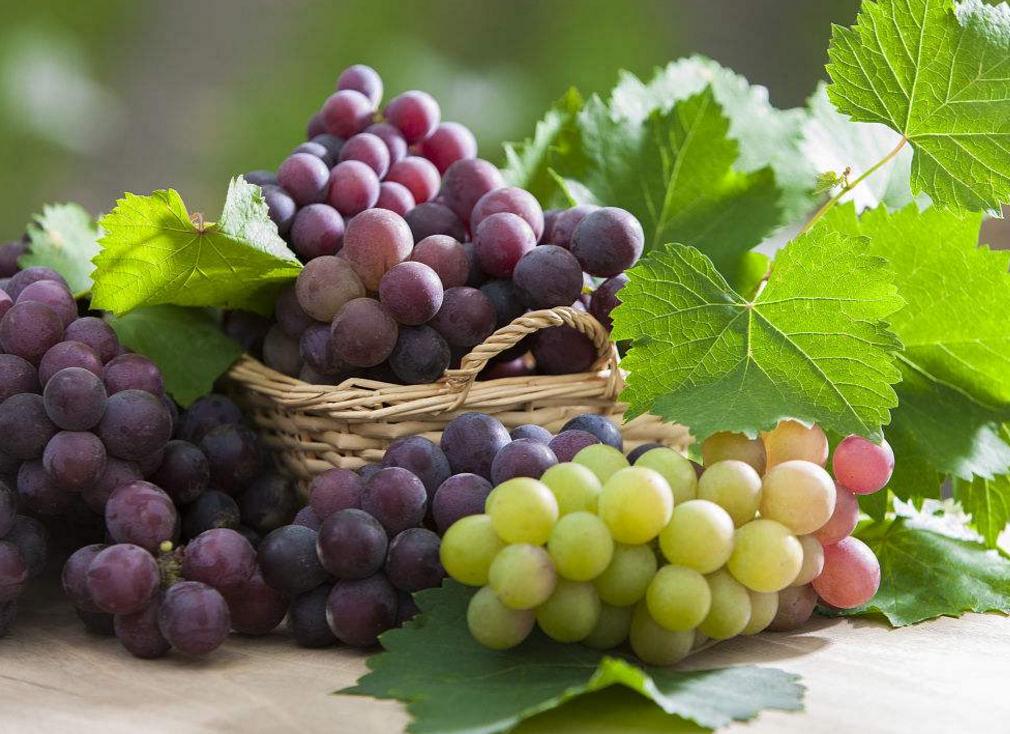 独来独往的人出现的三种气质,做人好的人身上都有的特征