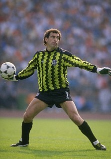 十大传奇门将推荐,传奇门将电影