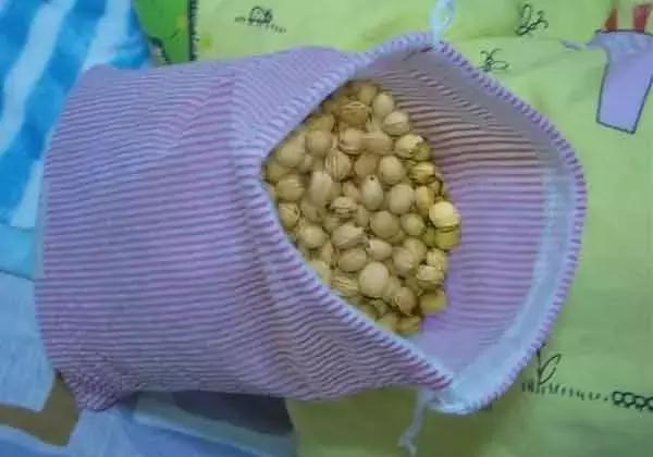 吃完樱桃剩下的籽能种吗怎么种,大樱桃核吃到肚子里有什么危害