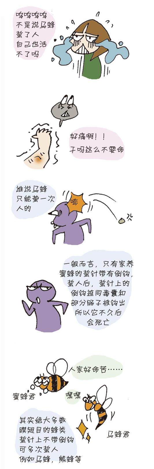 马蜂蛰了怎么办漫画,被马蜂蛰了的图片