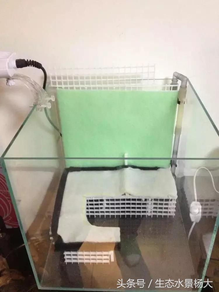 做水陆缸,做水陆缸所需的材料