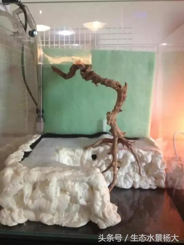 做水陆缸,做水陆缸所需的材料