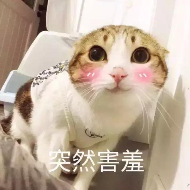网上购买的东西退货超时怎么办,超市买到过期商品