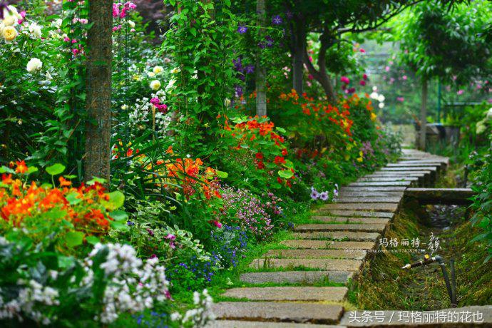 园丁修剪灌木,开满鲜花的小路教学设计一等奖