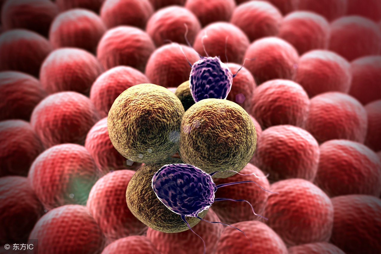 引起碱性磷酸酶升高的原因,碱性磷酸酶明显增高是什么癌