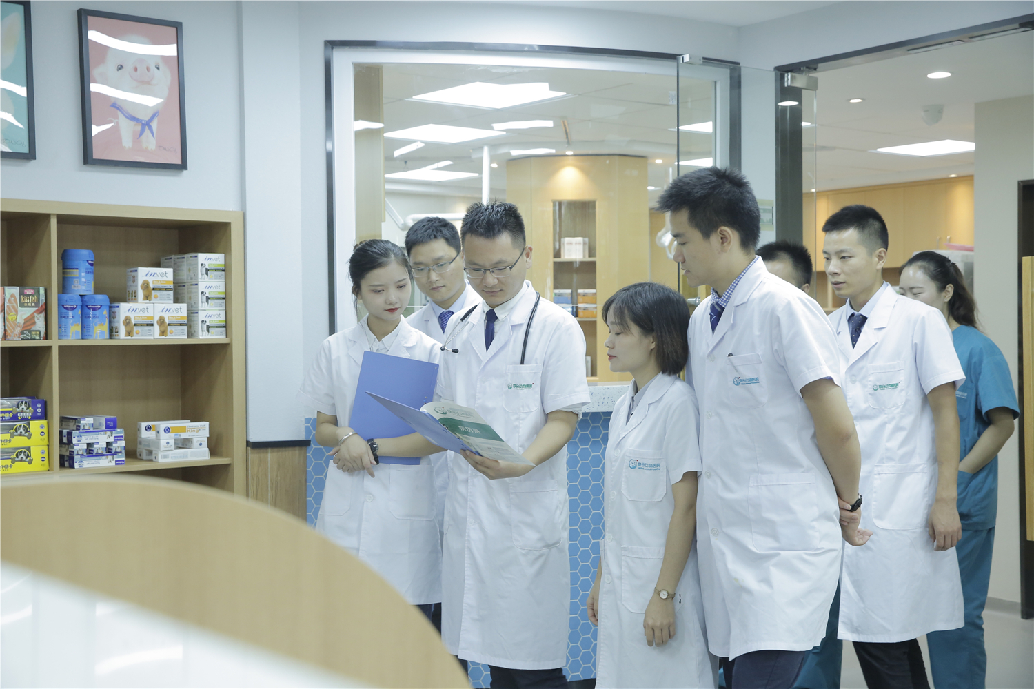 武汉最好的宠物医院排名,武汉比较正规的宠物医院