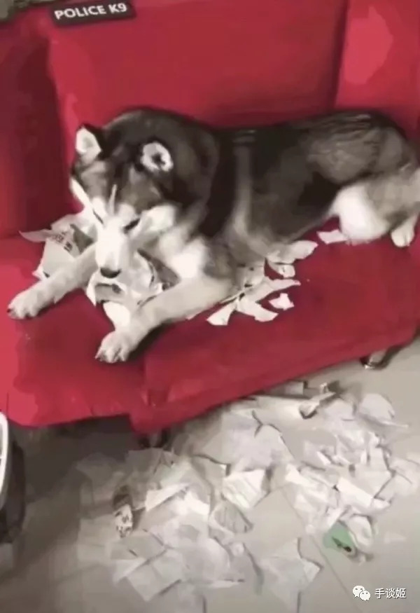 一款进化鲲的游戏,开局一条鲲进化全靠吞噬游戏视频