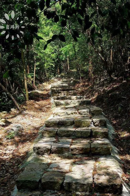 宁波北仑森林步道图片,北仑里外峰森林步道