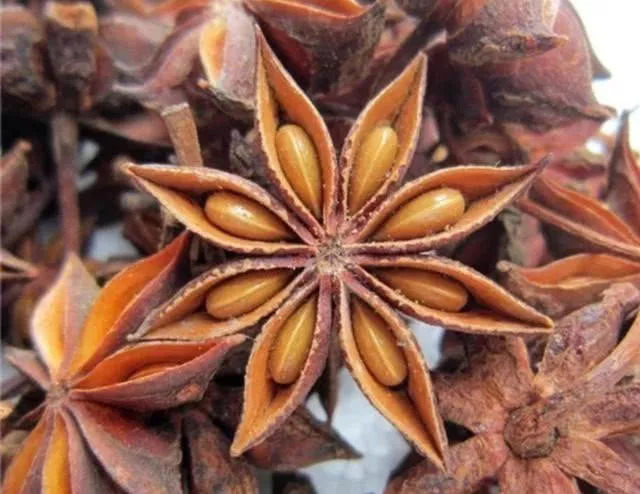 手把手教你们开卤菜店,新手怎么开卤菜店才能一炮而红