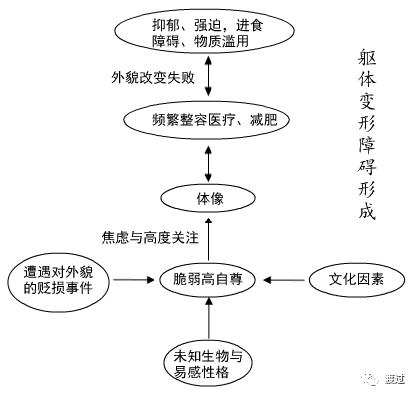 「王骏专栏」之十二：频繁整容也是病——关注“躯体变形障碍”｜渡过