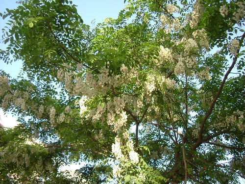 梦到生意很好是什么兆头,梦到谈生意意味着什么