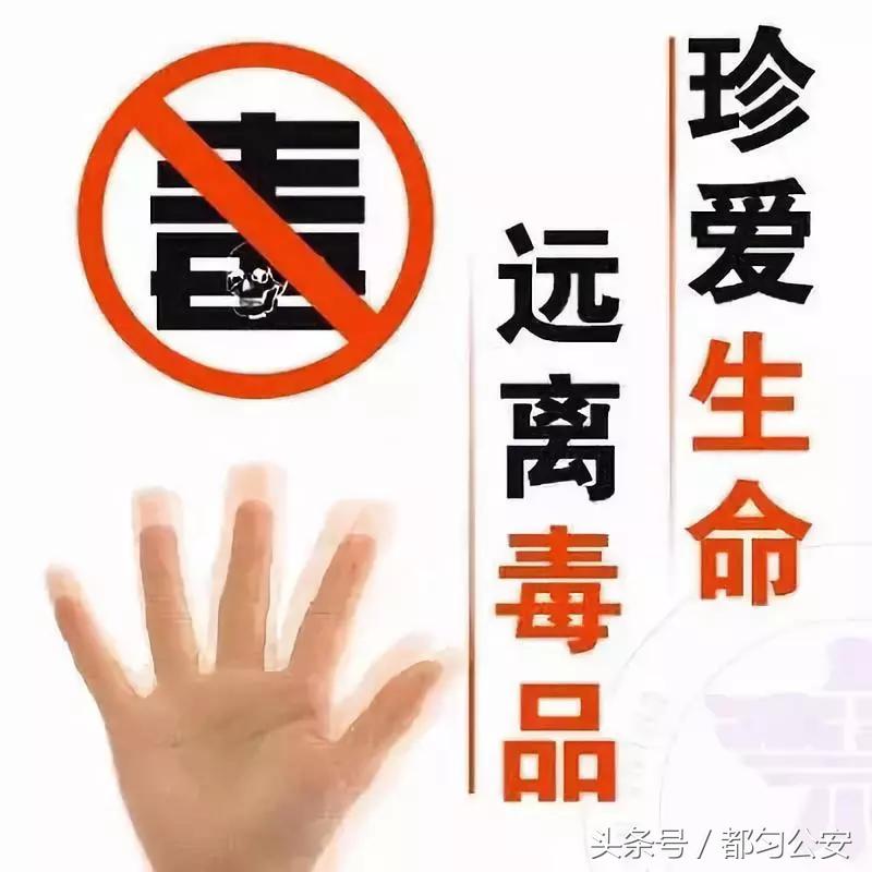 孩子愿你像一朵花,愿你像鲜花一样美丽绽放