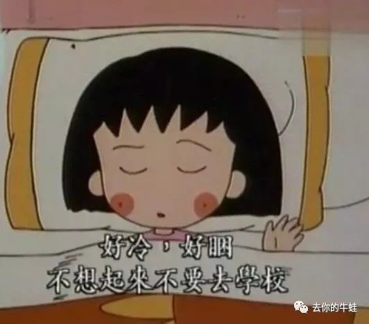 小丸子有多强大,小丸子的实力有多强大