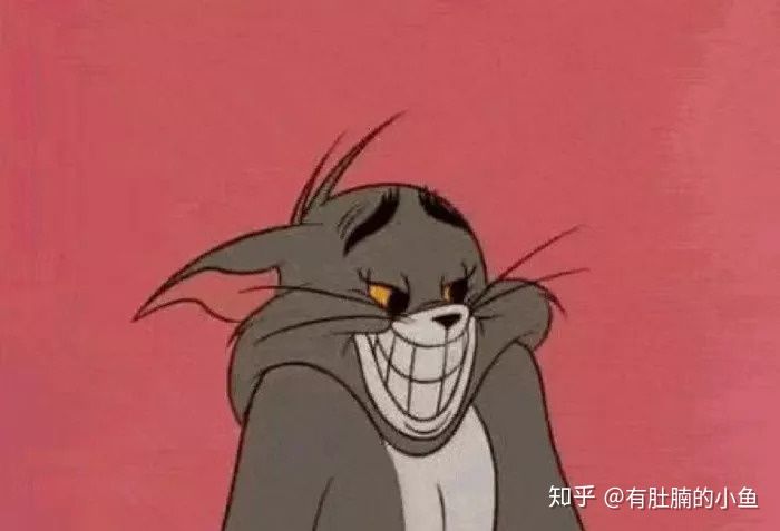 蓝猫的品种科普,俄罗斯蓝猫和其他蓝猫区别